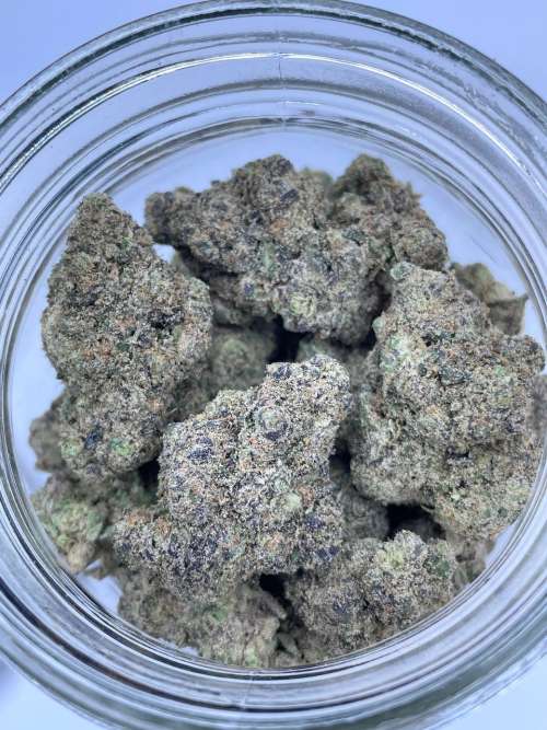 Orange Zkittlez - Moxie