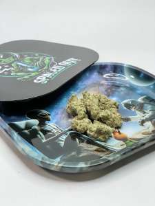 S.O Flower Trays - Magnetic Lid