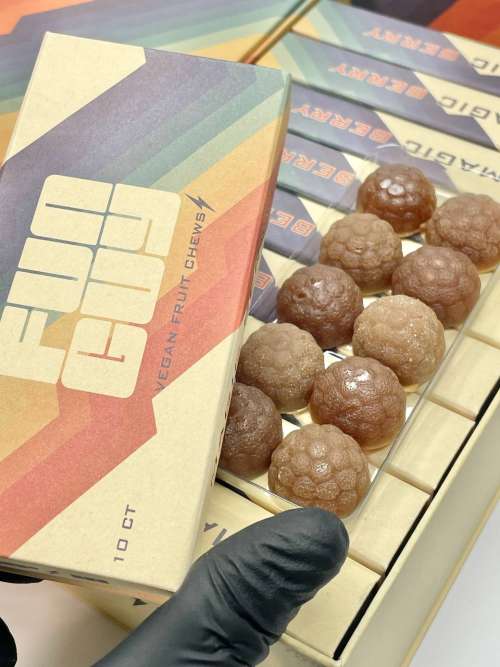 FUN GUY Mushroom Gummy