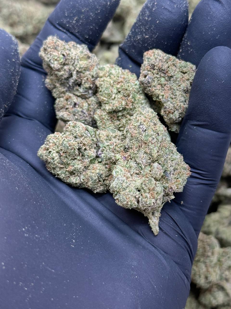 Bubblegum Runtz - Image 3