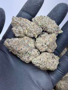 Purple Churro