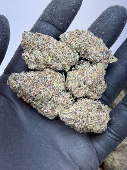 Purple Churro
