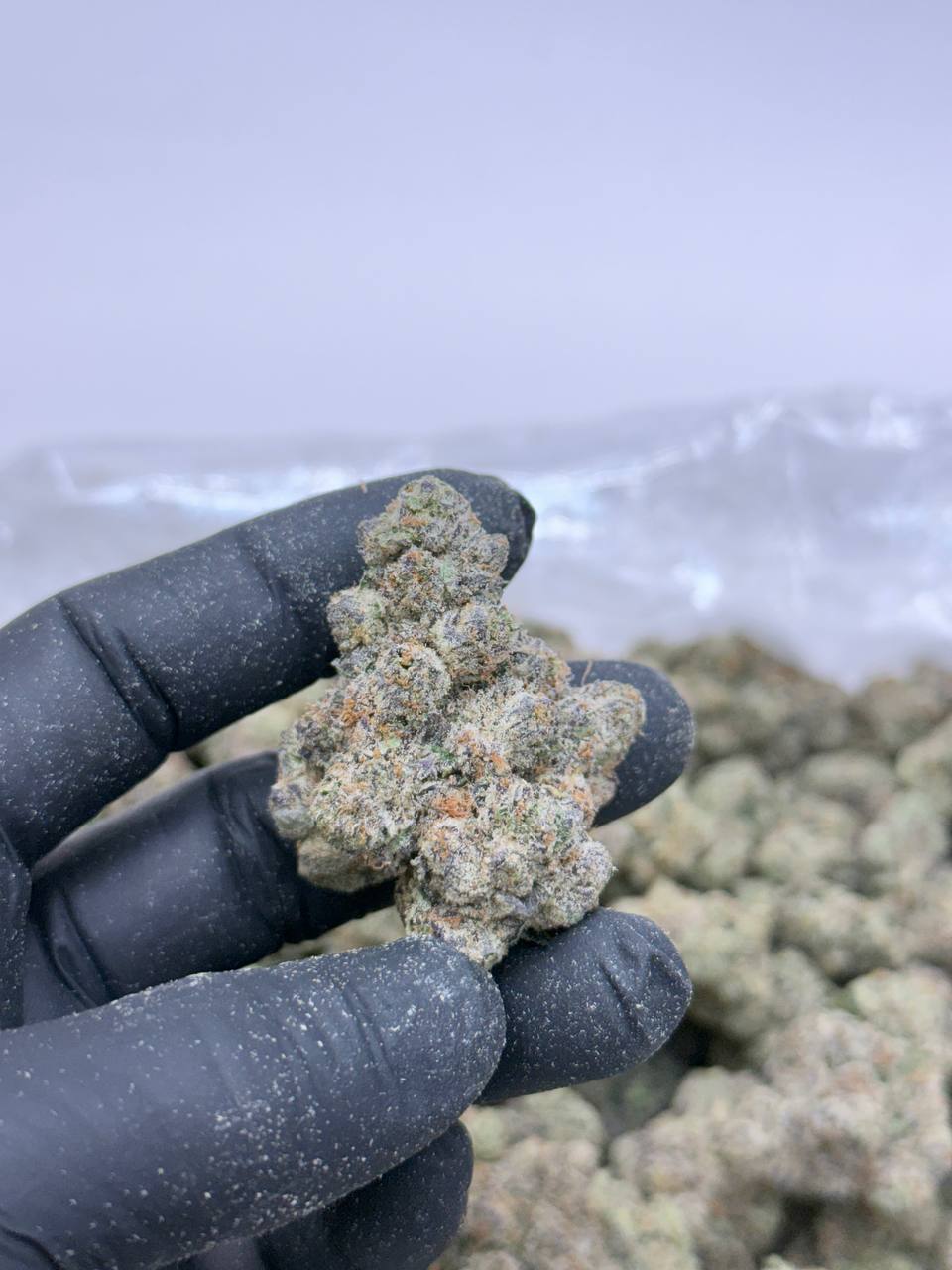 Caramel Apple Kush - Image 5