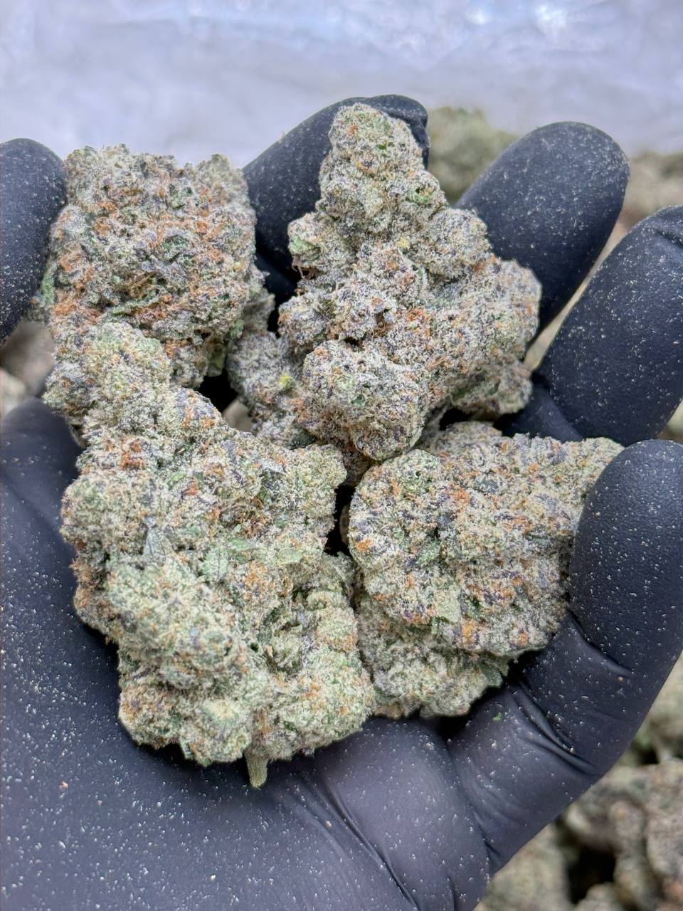 Caramel Apple Kush - Image 6