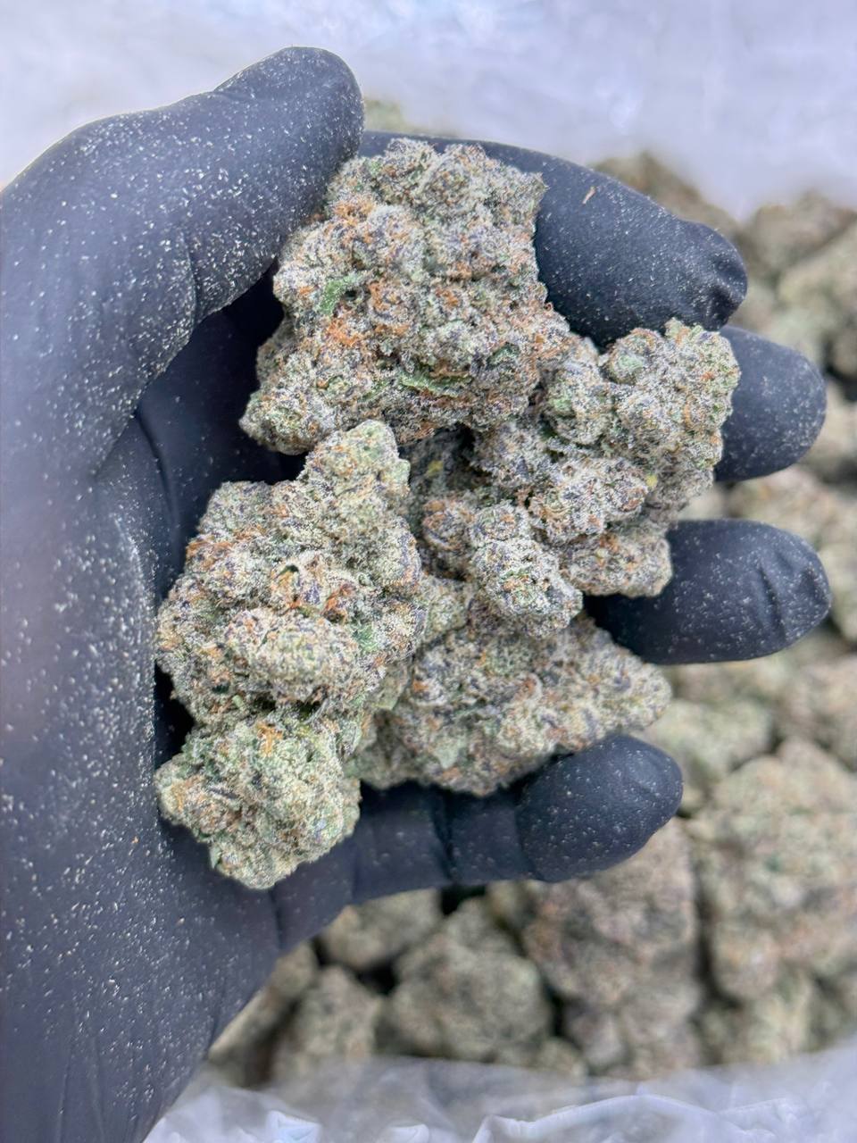 Caramel Apple Kush - Image 3