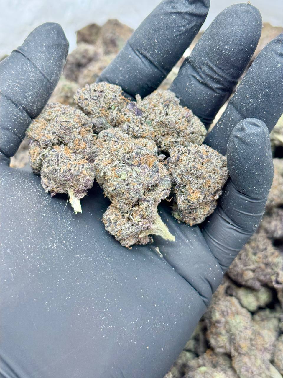 Purple Oreo - Image 3