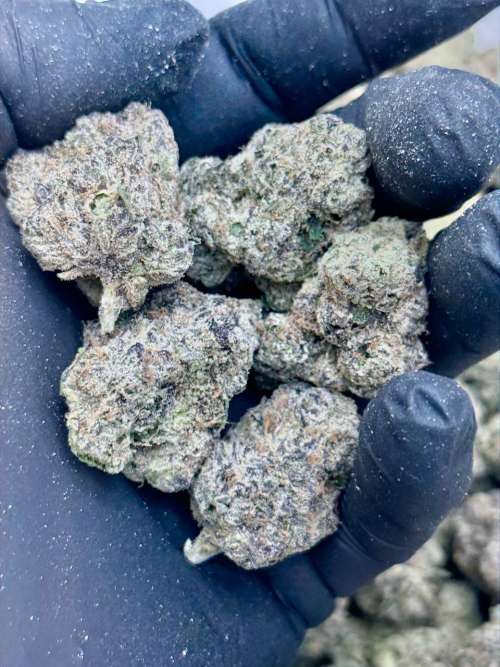 Lemon Cherry Gushers