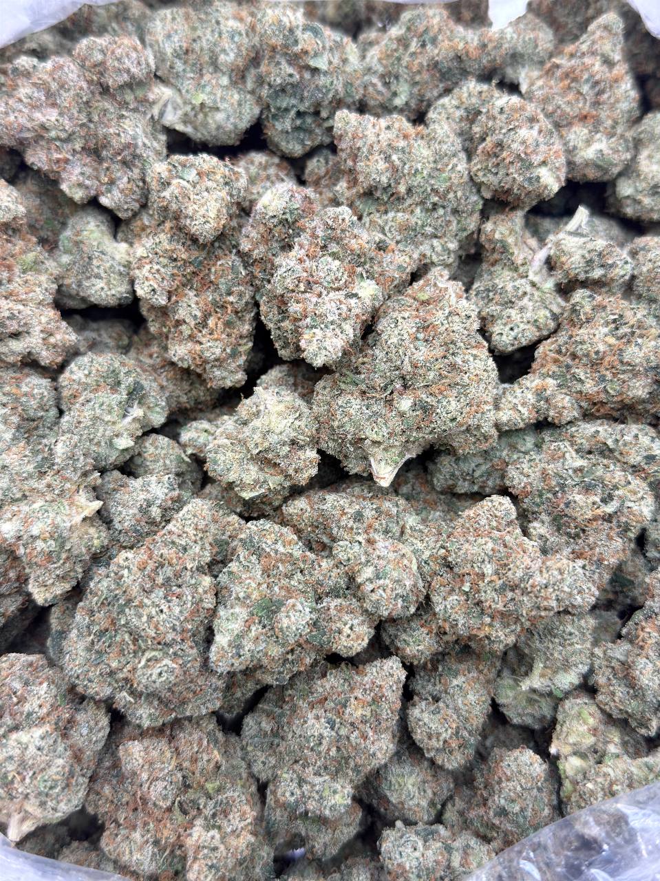 Super Sour Haze -Premium Living Soil - Image 2