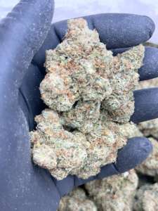 Super Sour Haze -Premium Living Soil