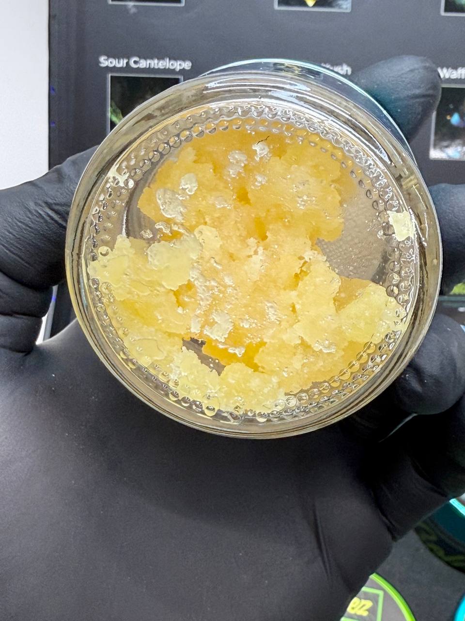 Goldiez Sugar - Image 2