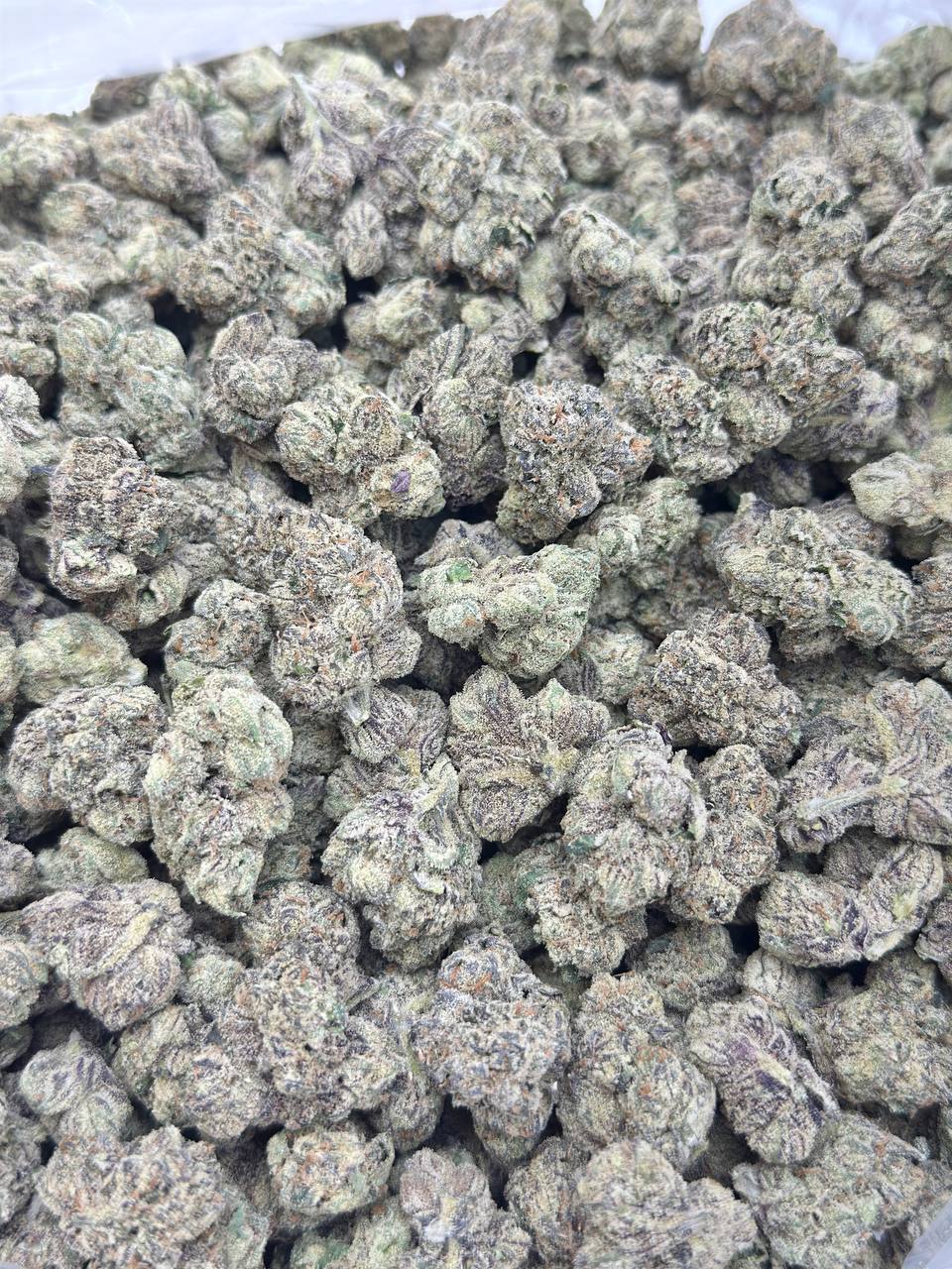 Blue Andeeze V2 - Image 2