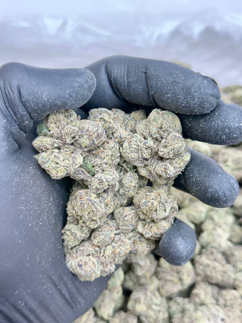 Blue Andeeze V2 - Image 4