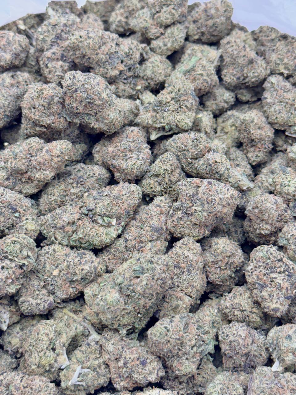 Frutopia (Budget) - Image 2