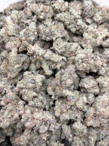 Garlic Juice -Living Soil - Lucky's Favorites Pick!