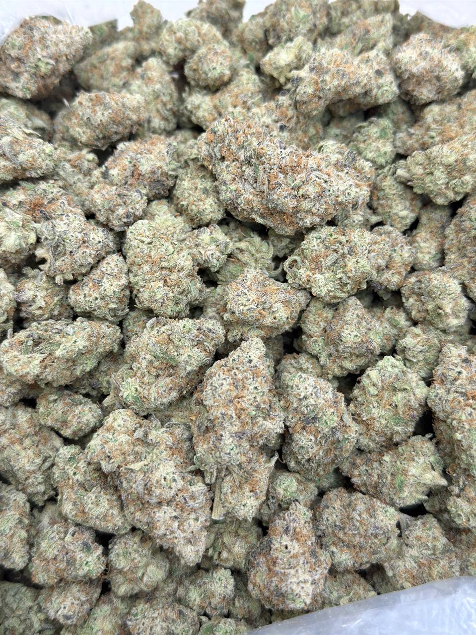 Cannalope Haze -Living Soil - Image 2