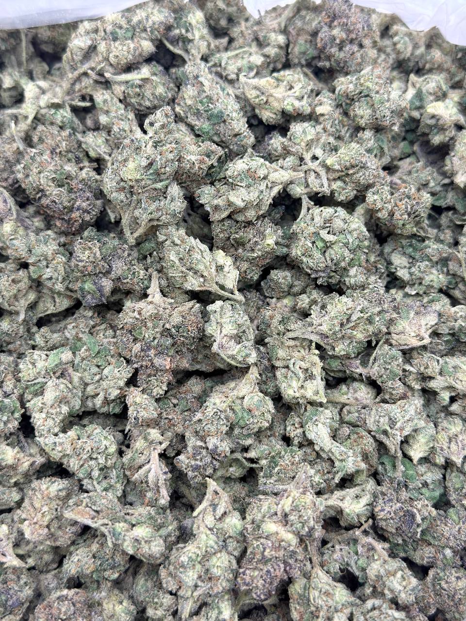 Sour Sherbert -BUDGET 150 - Image 2