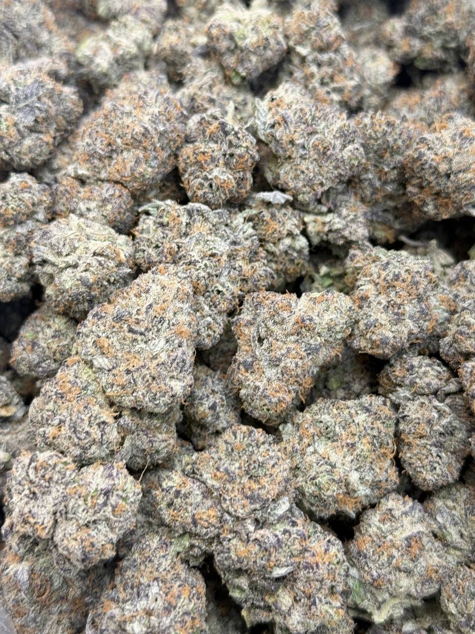 Earthquake - Image 2