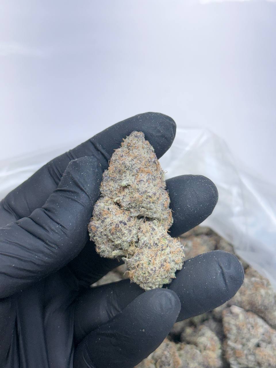 Earthquake - Image 3