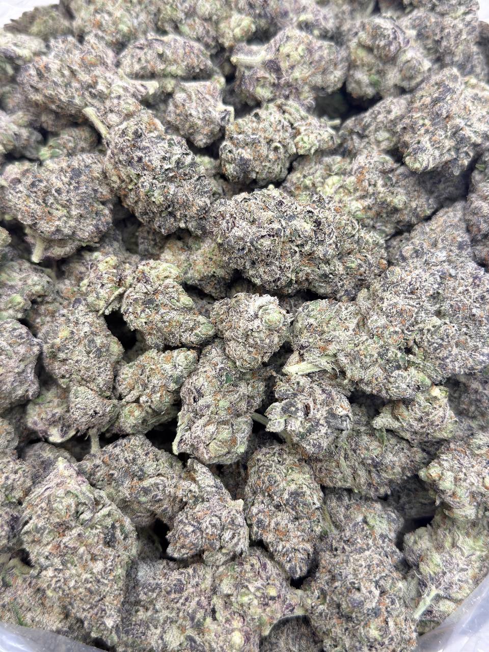 Earthquake - Image 4