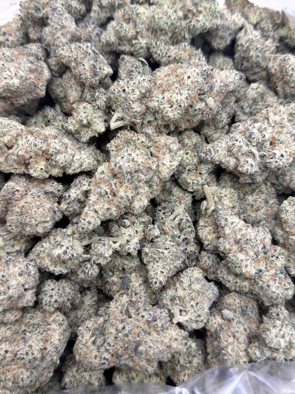 Black Widow - Image 3