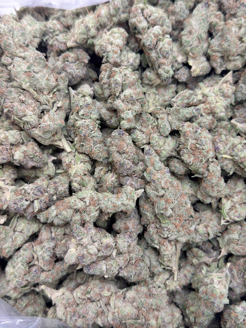 Tropicana Haze - Image 3