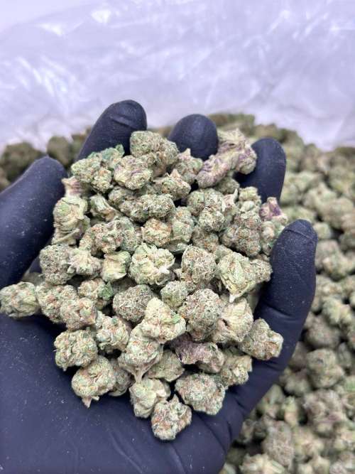 High Society Premium Smalls