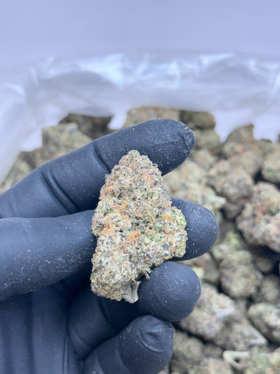 Fruitizez - Image 2