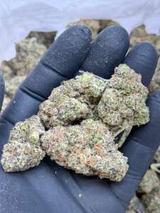 Fruitizez
