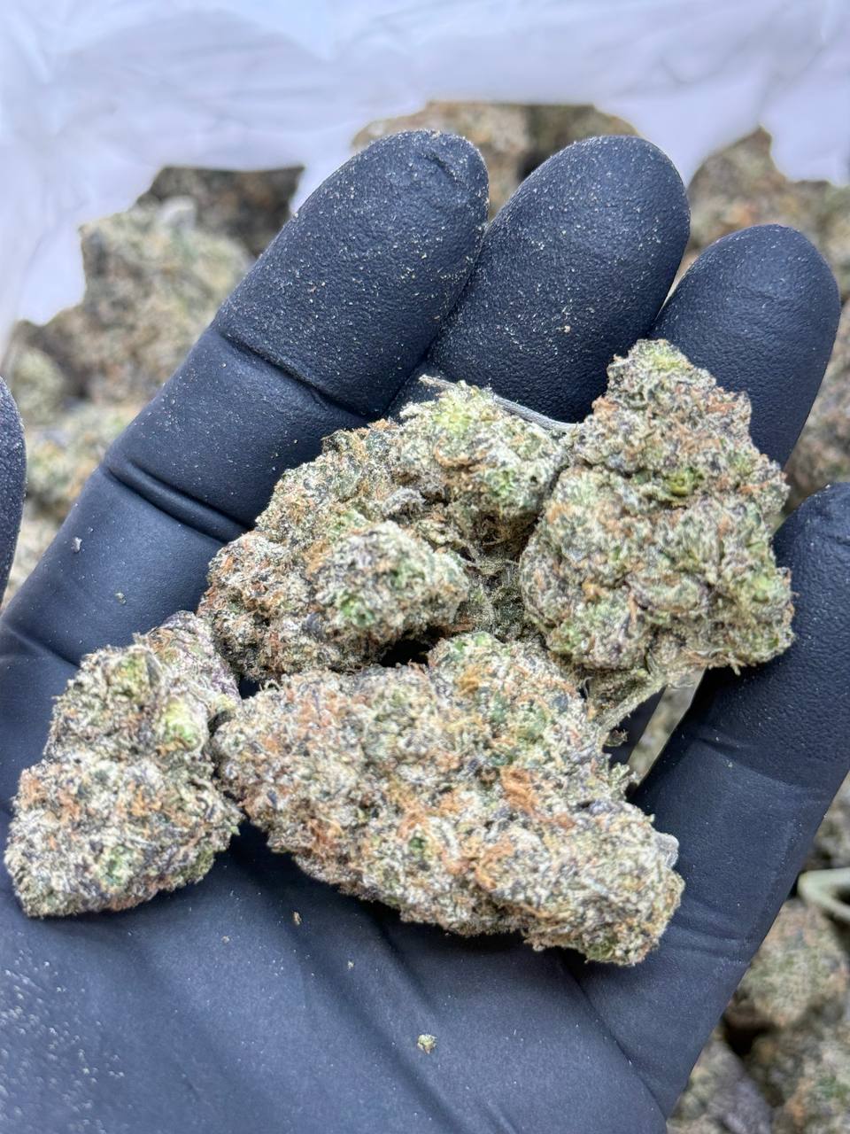 Fruitizez