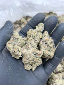 Gassy Taffy -Living Soil -Lucky's Favorites Pick