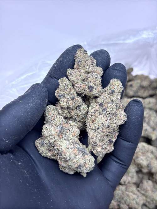 Off Gas -Living Soil -Lucky's Favorites Pick
