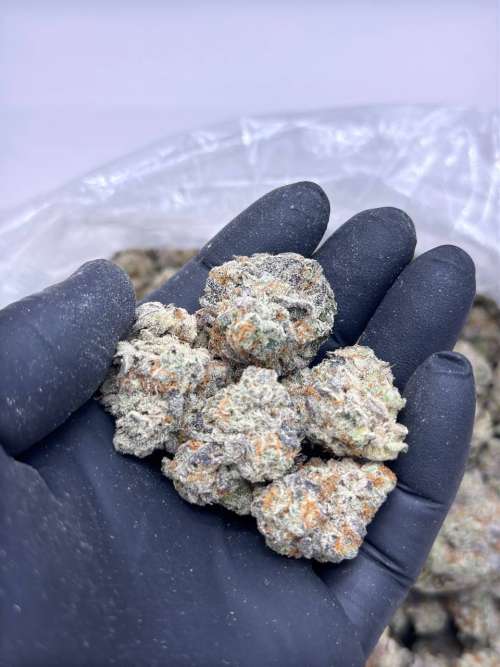 Marathon OG