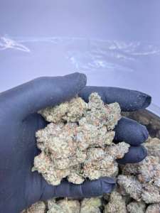Oreo Blizzard - Living Soil