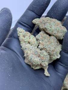 Super Boof cherry