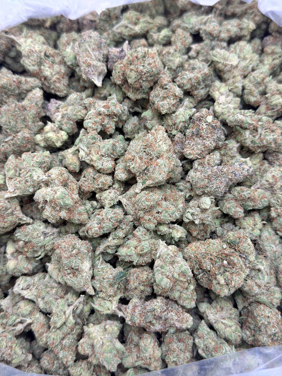 Sativa Bliss - Image 3