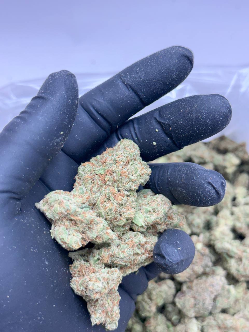 Sativa Bliss - Image 2