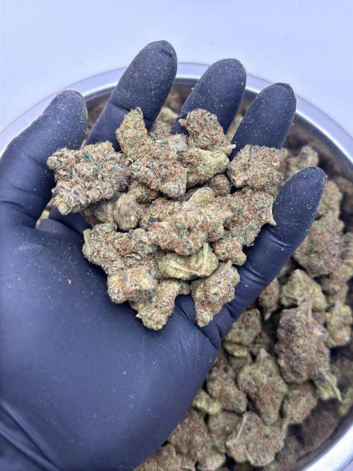 Lemon G