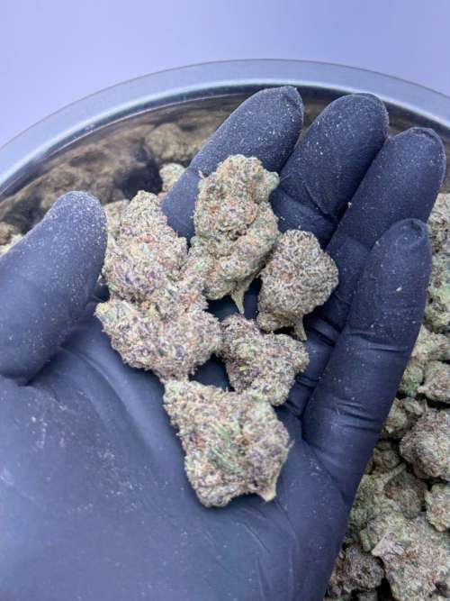 Sweet Mendo Kush
