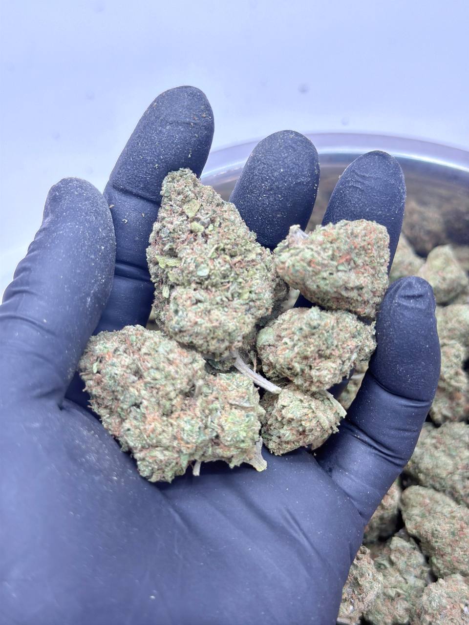 Sherbert- BUDGET 180 oz - Image 2
