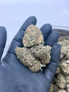 Candy Cane- BUDGET 180 oz