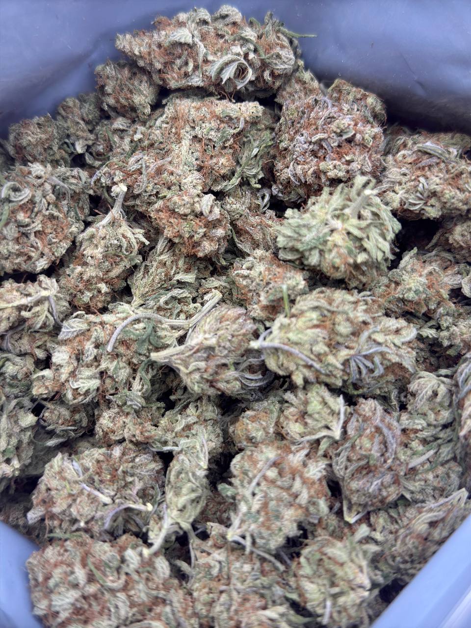 G-13 Haze Budget 160oz - Image 2