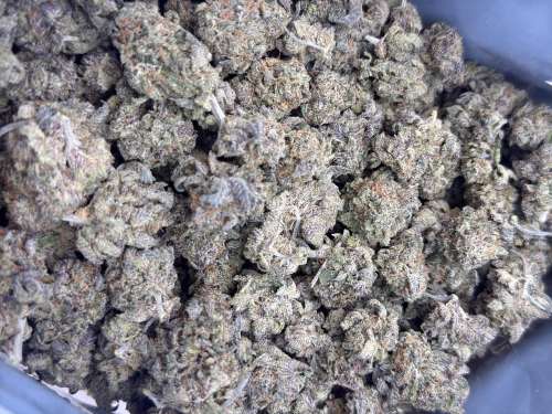 Blackberry Pie- BUDGET 180 oz