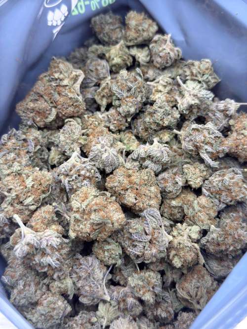 Blueberry Muffin- BUDGET 180 oz