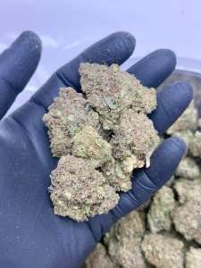 Tangerine Man- BUDGET 180 oz