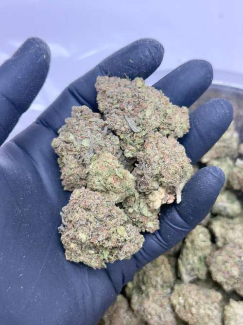 Tangerine Man- BUDGET 180 oz