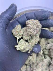 Jelly Cocktail- BUDGET 180 oz