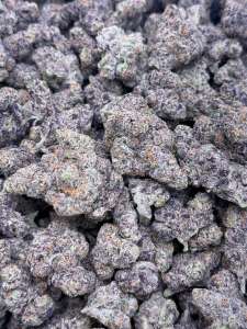 Tire Fire -Premium Living Soil