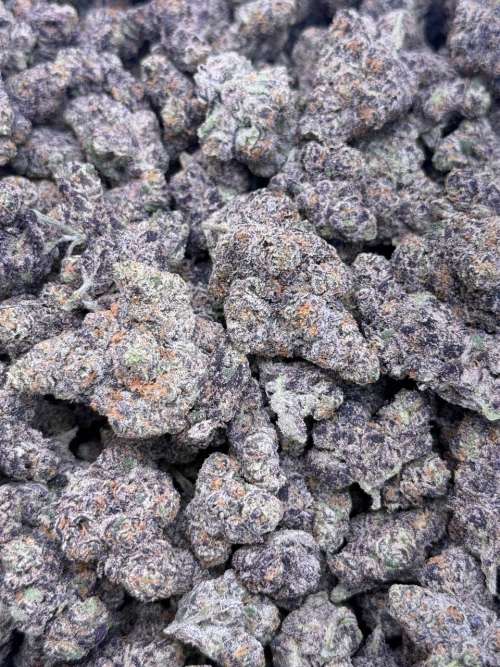 Tire Fire -Premium Living Soil